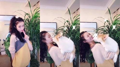 九亿少女吃瓜,吃瓜成风背后的社会现象解析