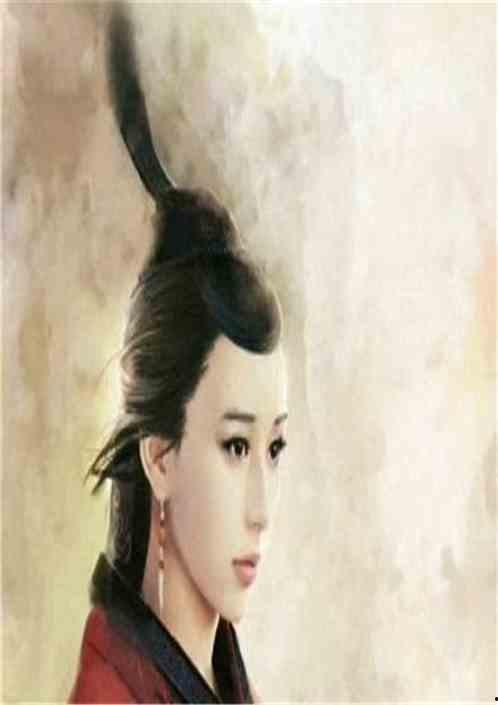 《官家娘子》吃瓜人小说,宫廷权谋与爱恨情仇的纠葛