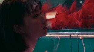 吃瓜少女2.0,揭秘娱乐圈幕后风云