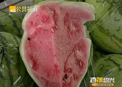 绍兴吃的瓜,探寻古城的独特美食风情